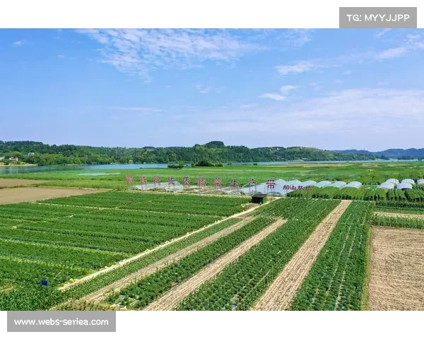 赛事组织体系正摆脱孤岛化作业模式 迈向基于云端节点的体育媒体生态深度协作