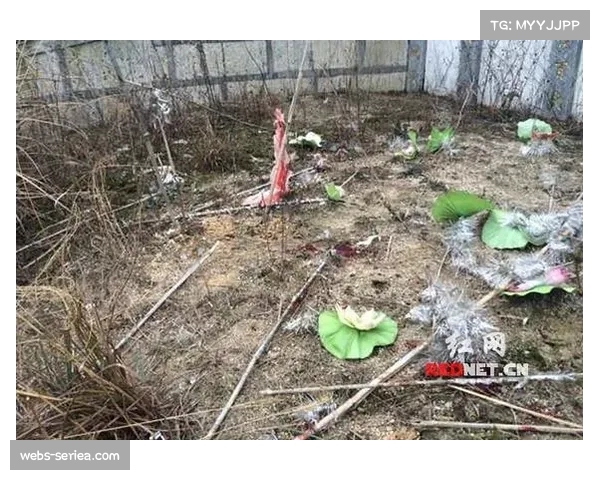 成功制止一起针对摩纳哥球员的绑架未遂案